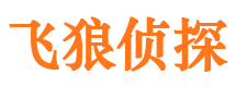 高平外遇出轨调查取证